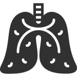 Icon 4