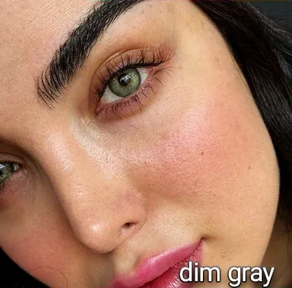 لنز رنگی فصلی سلنا (Selena) رنگ Dim Gray